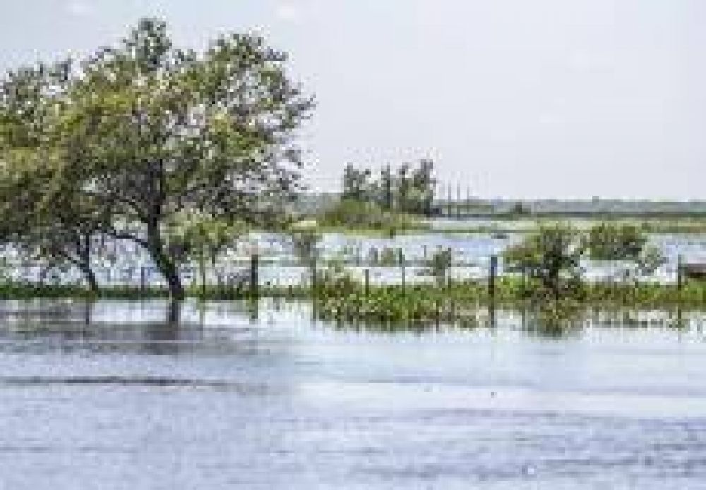 Creciente: El agua super� los 3,66 y estiman que se mantendr� durante todo febrero
