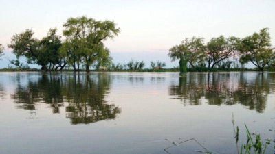 El municipio adopt� medidas ante la crecida del Paran�