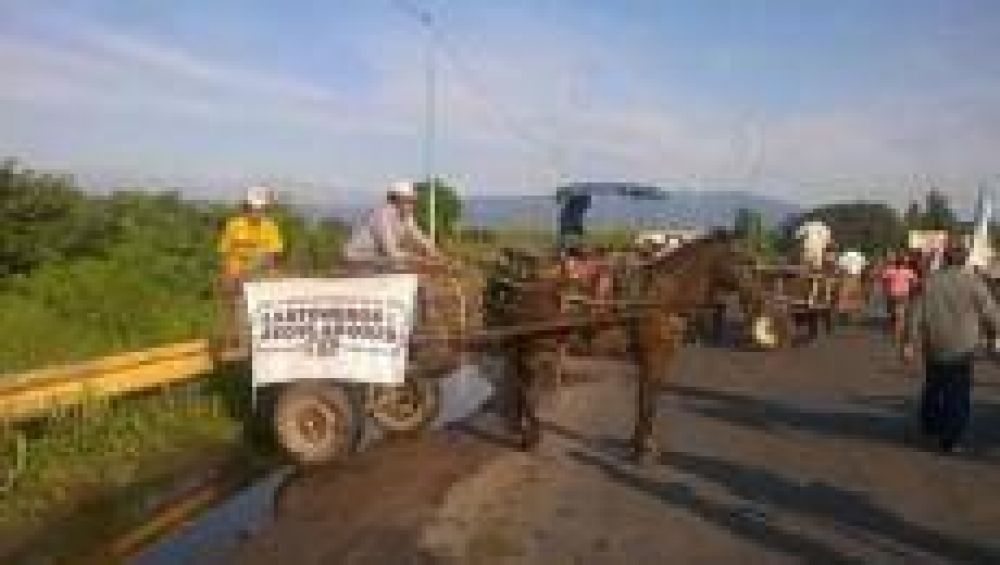 Los carros tracci�n a sangre protestan nuevamente