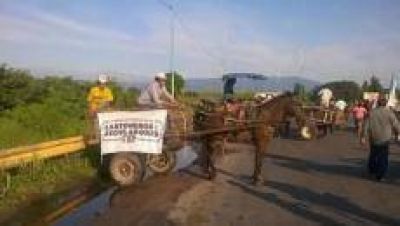 Los carros tracci�n a sangre protestan nuevamente