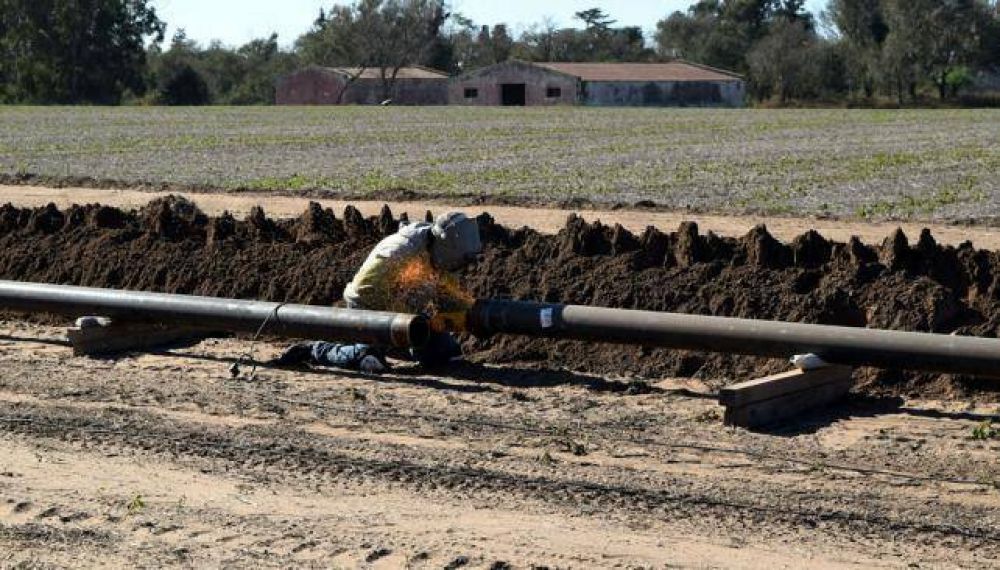 Gasoductos: se repartir�n en tres grupos