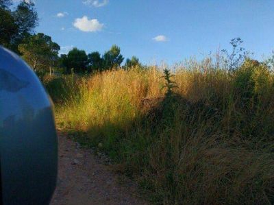 El municipio impulsa la limpieza en Villa Ventana y Sierra de la Ventana