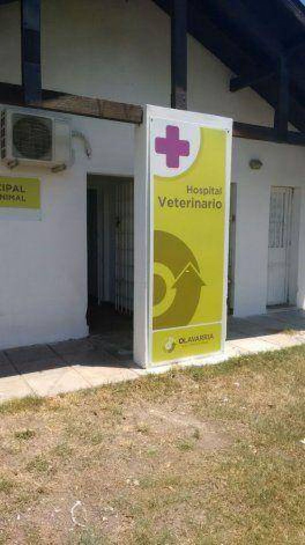 El sue�o del Hospital Veterinario, entre gestiones: sin terminar, vac�o y sin equipamiento