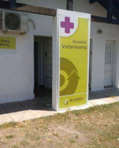 El sue�o del Hospital Veterinario, entre gestiones: sin terminar, vac�o y sin equipamiento