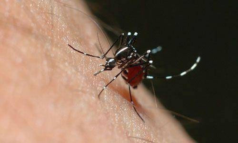 Detectan caso de dengue en el hospital de Del Viso