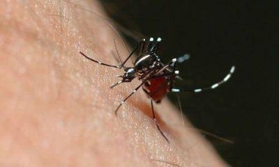 Detectan caso de dengue en el hospital de Del Viso