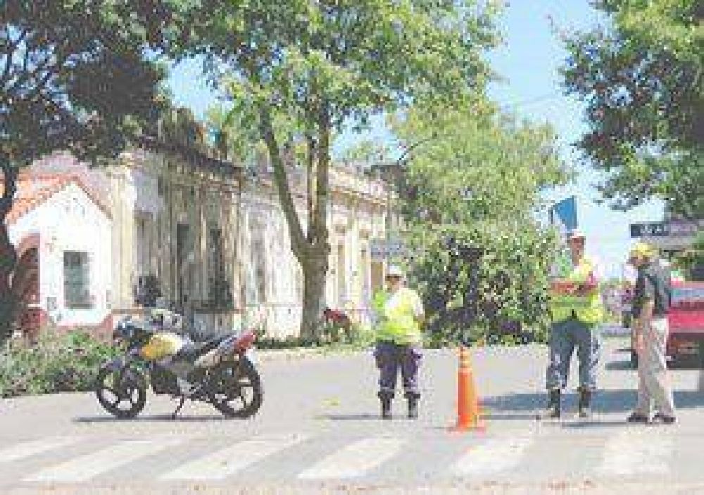 Priorizar�n la poda: 60.000 �rboles bajo la lupa en las calles de Jun�n