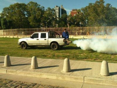 Ya hay 11 casos de dengue en Rosario y se analiza si el �ltimo es aut�ctono