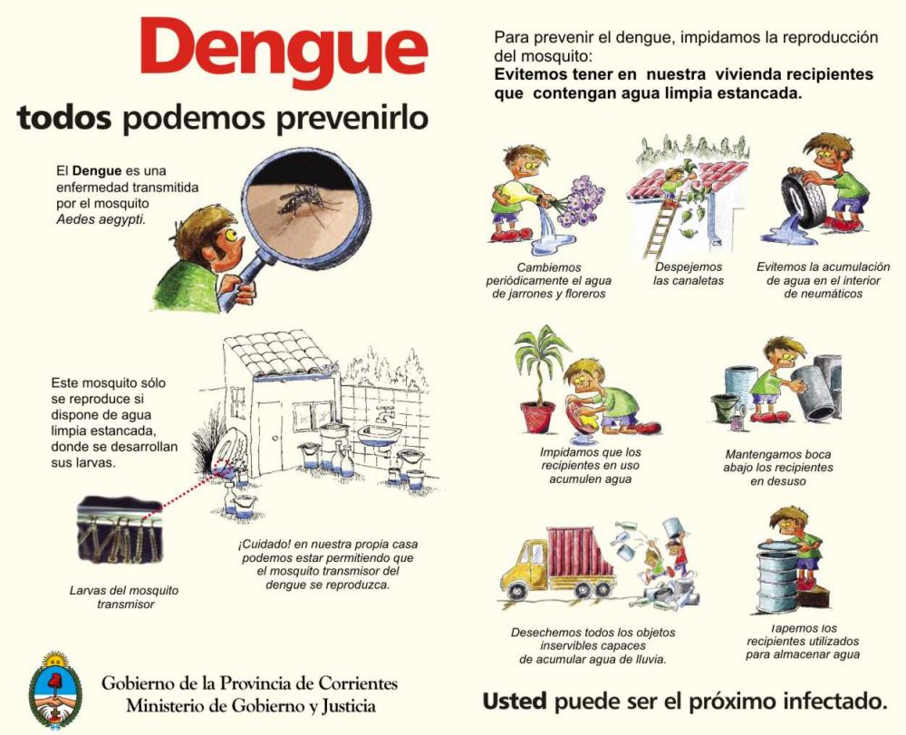 Dengue: El sistema de salud refuerza las medidas de prevencin