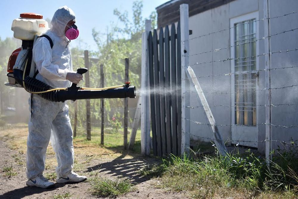 INTENSIFICAN LOS TRABAJOS DE PREVENCI�N CONTRA EL DENGUE EN DISTINTOS SECTORES DE LA CIUDAD
