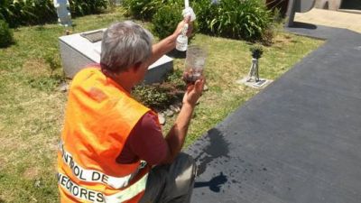 San Isidro realiza amplios operativos contra el dengue