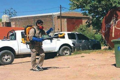 Buscan frenar la circulaci�n del virus del dengue