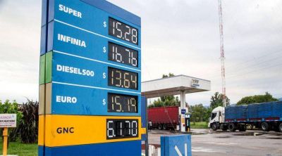 En Salta se paga el precio m�s alto de Am�rica Latina
