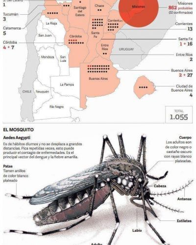 Avanza el virus del dengue y ya hay casos en Capital y el GBA