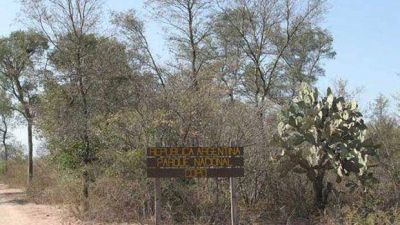 El ministro Daives expres� que Dosplaff est� vinculado al delito de usurpaci�n en parcelas de la Reserva Provincial Copo