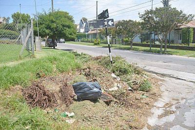 Basura acumulada es uno de los reclamos m�s frecuentes de los vecinos
