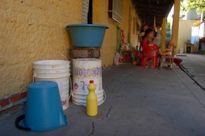 Chacaritas, un problema ante las enfermedades vectoriales