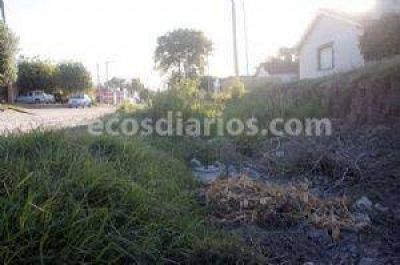 Basura y pastizales a metros del principal ingreso a la ciudad