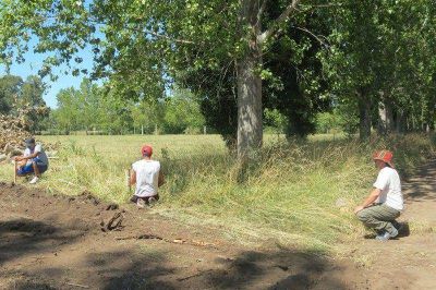 Demarcan lotes en terrenos de la Fundaci�n Pe�o�ori