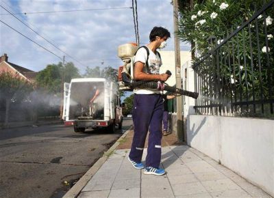 El cambio clim�tico y los viajes, aliados de la propagaci�n del dengue