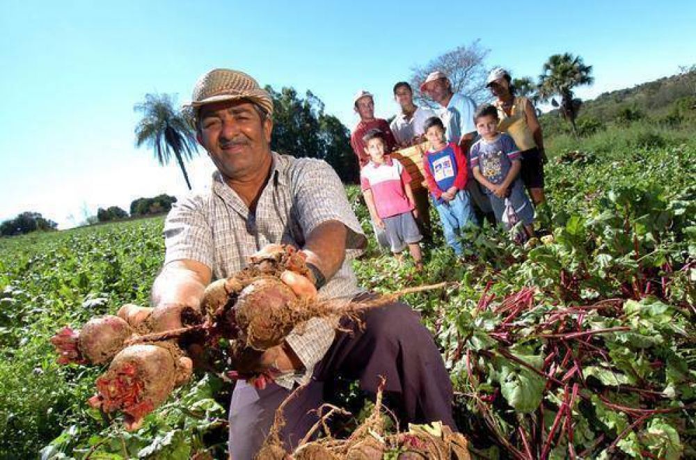 Proyectan realizar un registro de productores de agricultura familiar en la provincia