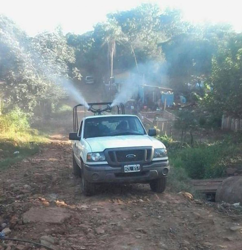 Losada, Ahuad y Villalba trabajan para combatir el dengue