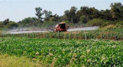 La Provincia intervendr�a para detener las fumigaciones t�xicas en La Cumbre