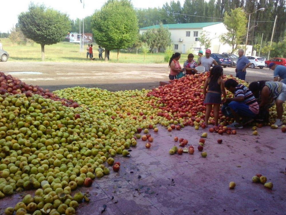 Tiraron manzanas y peras para protestar por la crisis frutcola