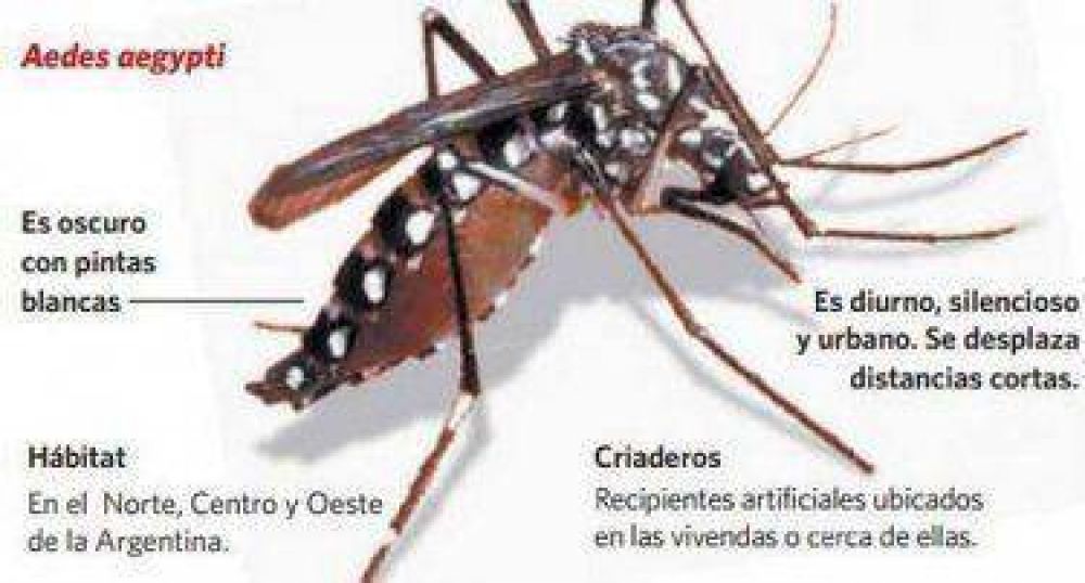 En Moreno hay ocho casos confirmados