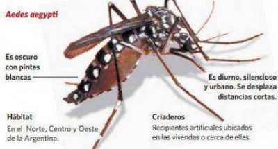 En Moreno hay ocho casos confirmados