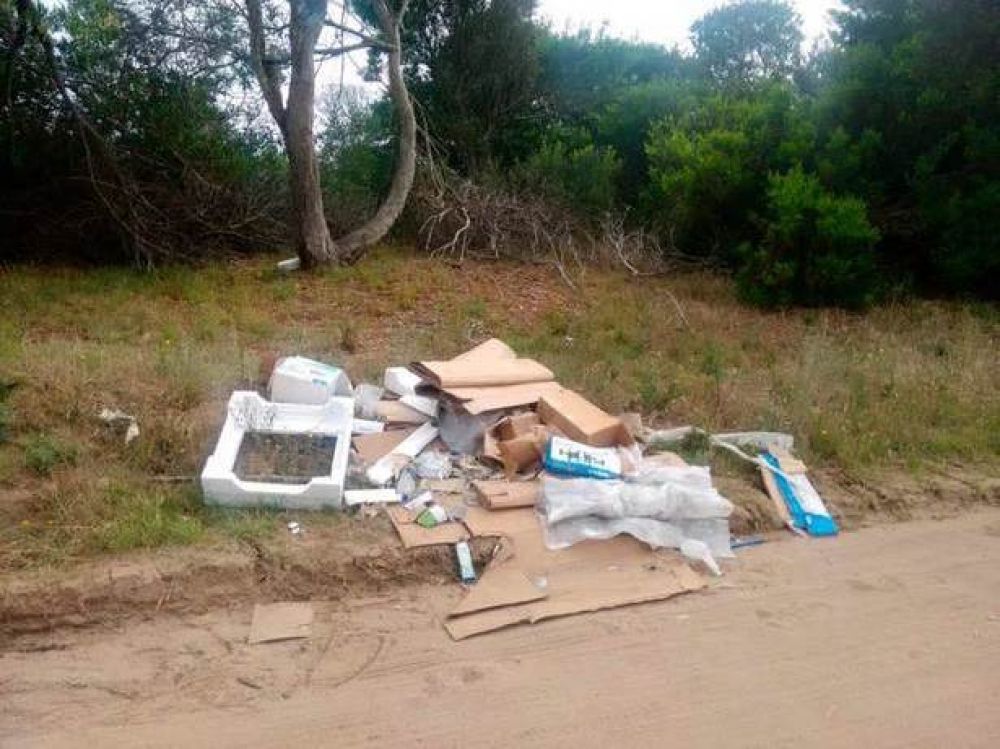 Limpieza general en las localidades del sur