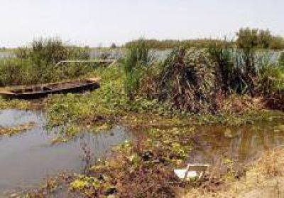 Creciente: Vecinos de La Tosquera dijeron sentirse �abandonados�