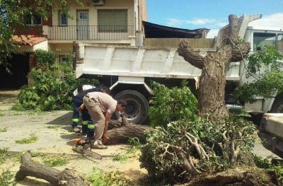 Los da�os que dej� la tormenta en el Gran Mendoza