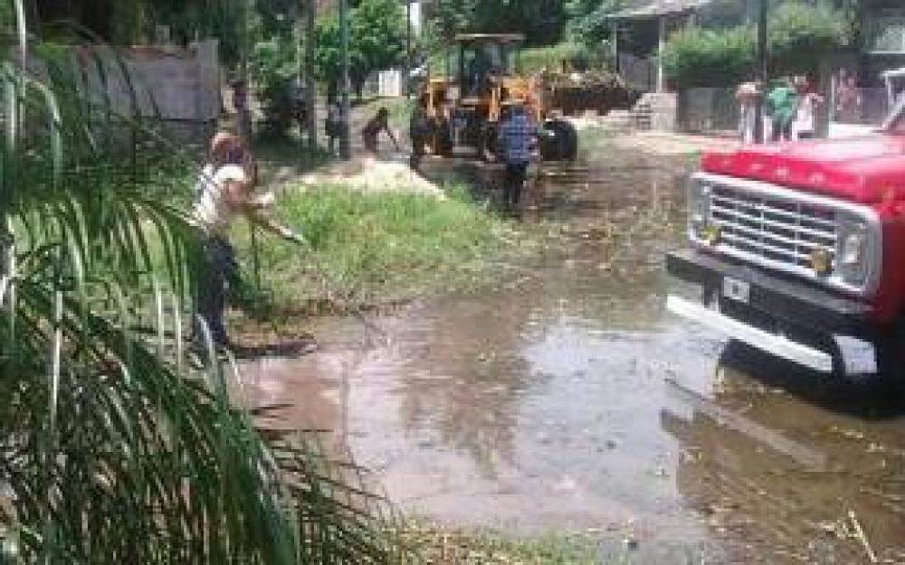 M�s problemas en Quilmes: Creci� el r�o y los camalotes llegaron a las calles de la ciudad