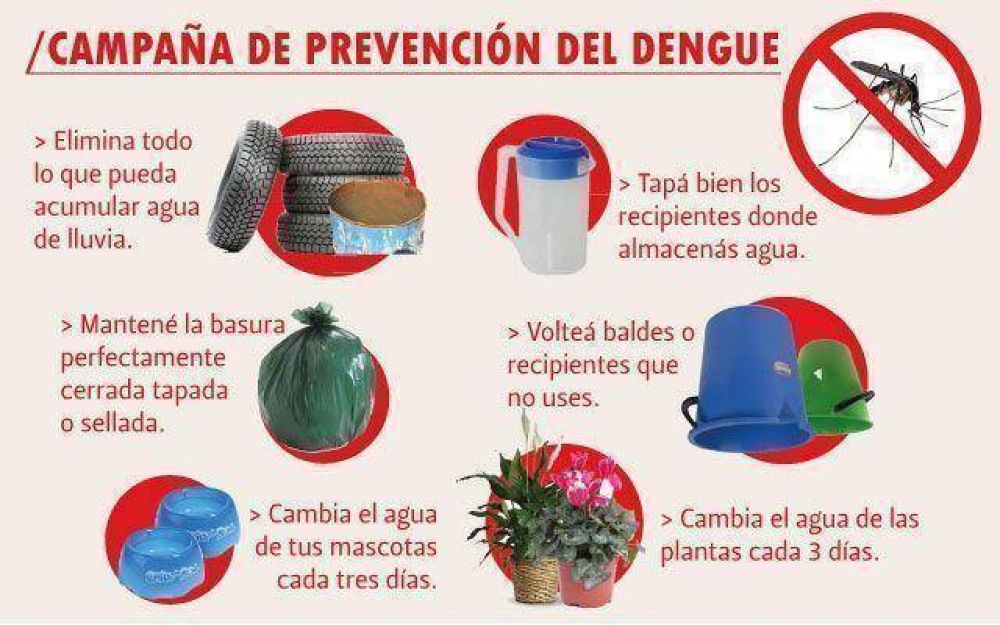 Alerta m�xima por dengue en la Provincia