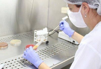 La provincia incrementa la producci�n de larvicidas