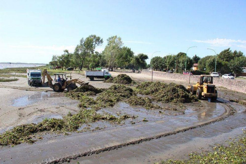Sigue la prohibici�n de nadar en el R�o de La Plata ante presencia de camalotes