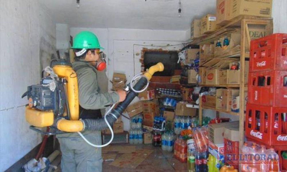 Por d�a se presentan unos 20 casos sospechosos de dengue en los controles