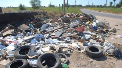 Predominan los pastizales y minibasurales en la zona Sur
