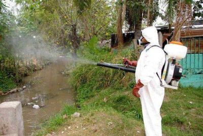 Tigre afirma que eliminar el dengue no depende de la fumigaci�n