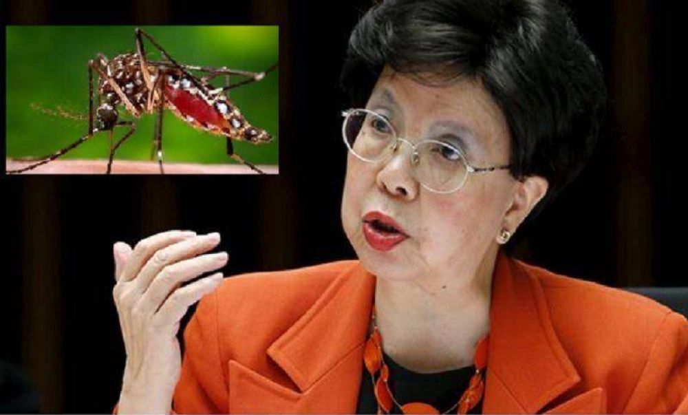 Alerta sanitaria: la OMS advierte que el virus del zika llegará a toda América