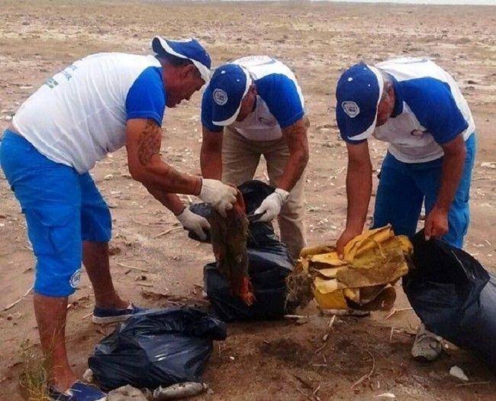 Integrantes de Playas Limpias trabajaron en Reta