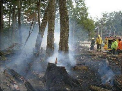 Gobierno gestiona m�s recursos para mejorar el combate de incendios