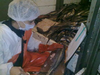 Observadores del INIDEP rechazan acusaciones de corrupci�n