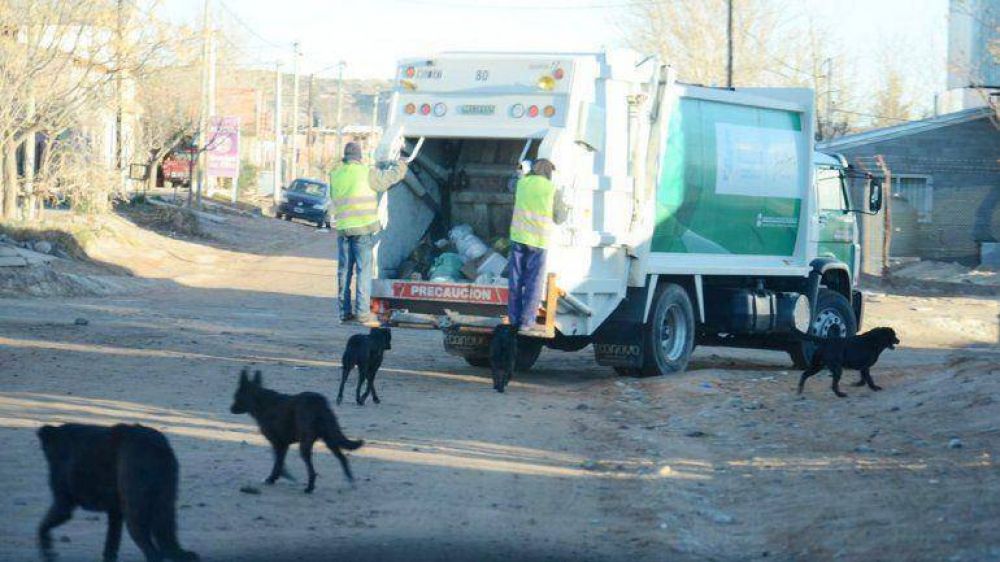 Con sat�lite, controlar�n a los basureros de Plottier