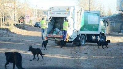 Con sat�lite, controlar�n a los basureros de Plottier