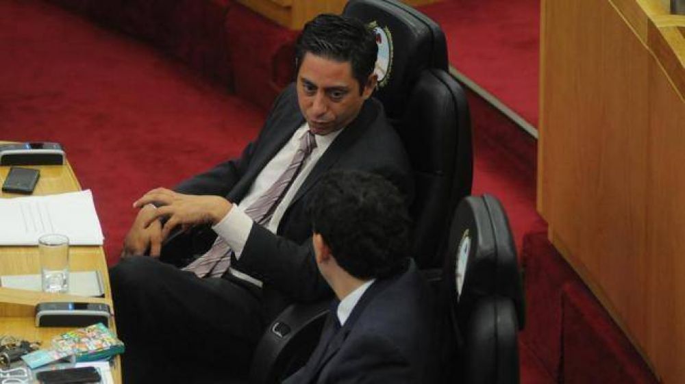 Legisladores de la oposicin exigen sanciones para Vargas Aignasse