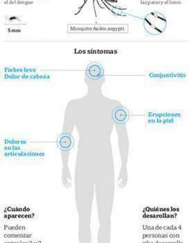 Confirman el primer caso de zika en la Argentina