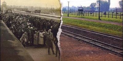El Papa podr�a visitar Auschwitz