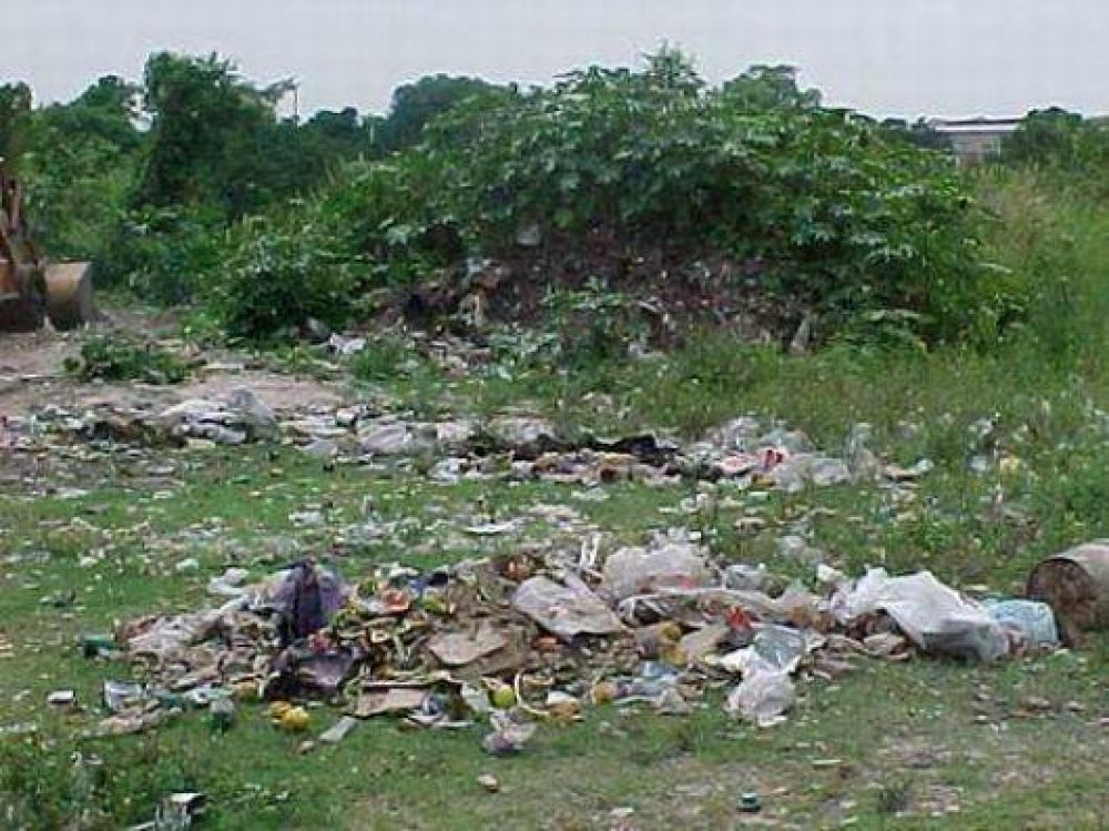 Los bald�os, una traba para el combate al dengue en Posadas